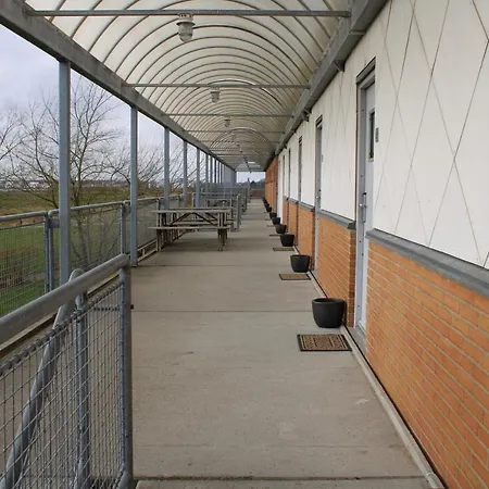 Vandrarhem Hostel Herning *